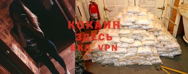 PSILOCYBIN Верхний Тагил